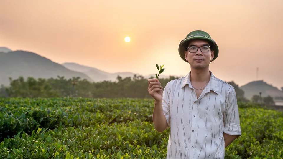 Hình ảnh từ trang Giới thiệu SereniTea